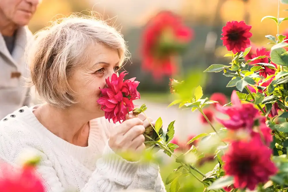 mc-2-mobile Beautiful view of the mountains near Meridian San Marcos