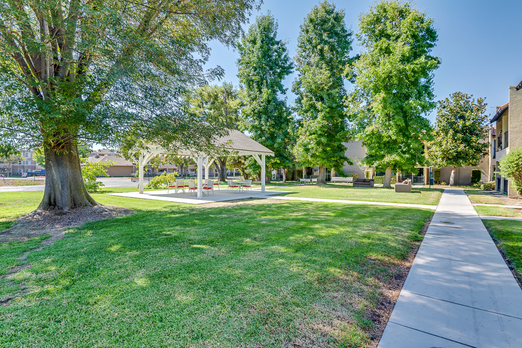 walking path besides a lawn and trees